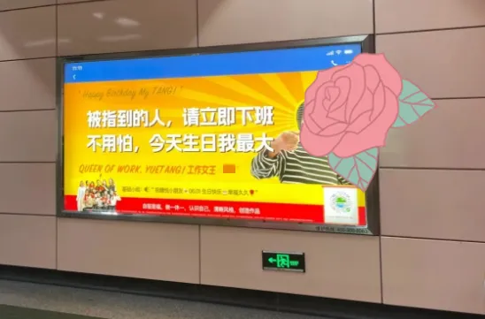 新闻上看到，广州、北京、杭州..情报-搞钱线报📢论坛-网创交流-优创圈